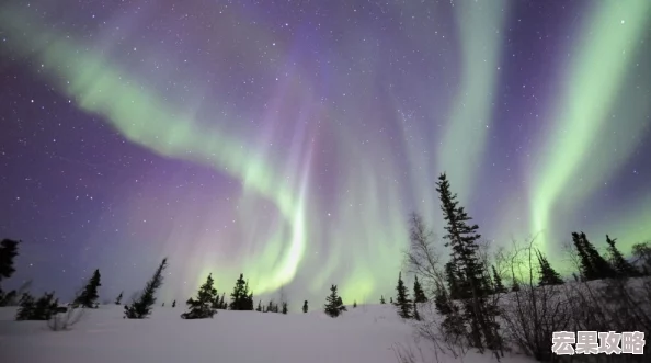 在浩瀚的宇宙与无尽的星辰之间,流传着一个古老而辉煌的传说——圣斗士星矢。这部跨越时代的经典之作,不仅以其深刻的友情、不屈的意志和绚烂的战斗场景深深打动了无数观众的心,更成为了无数人童年记忆中不可磨灭的一部分。科技的飞速发展,游戏界的边界也在不断拓宽,圣斗士星矢这一IP也顺应潮流,推出了跨平台的游戏版本,让苹果用户得以无缝转至安卓世界,继续他们的守护之旅,精彩连招等你来秀! 在浩瀚的宇宙与无尽的星辰之间,流传着一个古老而辉煌的传说——圣斗士星矢。这部跨越时代的经典之作,不仅以其深刻的友情、不屈的意志和绚烂的战斗场景深深打动了无数观众的心,更成为了无数人童年记忆中不可磨灭的一部分。科技的飞速发展,游戏界的边界也在不断拓宽,圣斗士星矢这一IP也顺应潮流,推出了跨平台的游戏版本,让苹果用户得以无缝转至安卓世界,继续他们的守护之旅,精彩连招等你来秀!