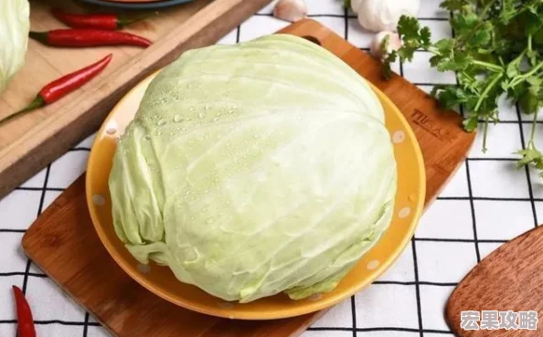 在2024年,智能手机的普及和技术的不断进步,种菜游戏作为一种轻松休闲的娱乐方式受到了广大玩家的喜爱。这些游戏不仅能让玩家体验到种植的乐趣,还能通过模拟经营的方式锻炼自己的管理能力和策略思维。以下是一些免费且有趣的种菜手游推荐合集及下载指南 在2024年,智能手机的普及和技术的不断进步,种菜游戏作为一种轻松休闲的娱乐方式受到了广大玩家的喜爱。这些游戏不仅能让玩家体验到种植的乐趣,还能通过模拟经营的方式锻炼自己的管理能力和策略思维。以下是一些免费且有趣的种菜手游推荐合集及下载指南