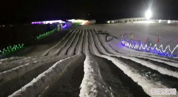 滑雪大冒险2是一款备受欢迎的休闲游戏，玩家在游戏中扮演一名滑雪者，在各种地形上滑行、跳跃并表演各种特技。这些特技不仅令人赏心悦目，还能帮助玩家获取高分和完成任务。那么，如何在游戏中成功表演特技呢？以下是一些关于在滑雪大冒险2中如何表演特技以及相关的窍门和建议。